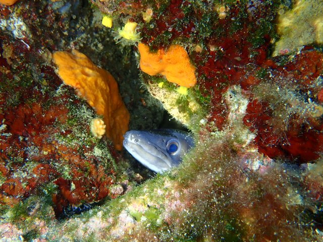 foto 22.06.19 19 47 23